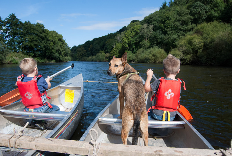 Canoeing with dog